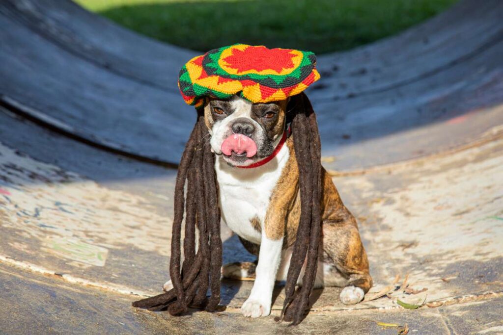 Bob Marley